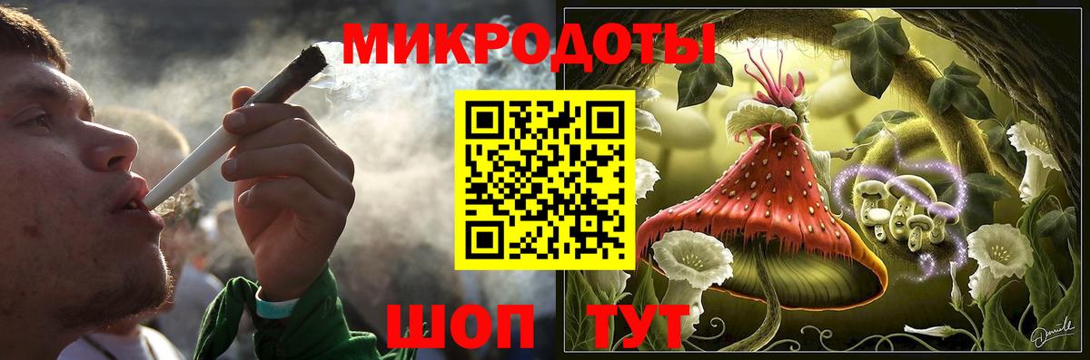 Псилоцибиновые грибы Cubensis Новозыбков